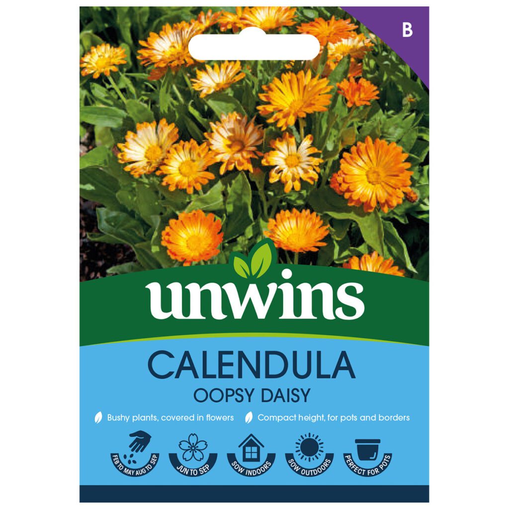 Unwins Calendula Oopsy Daisy Seeds 5051618025041 2